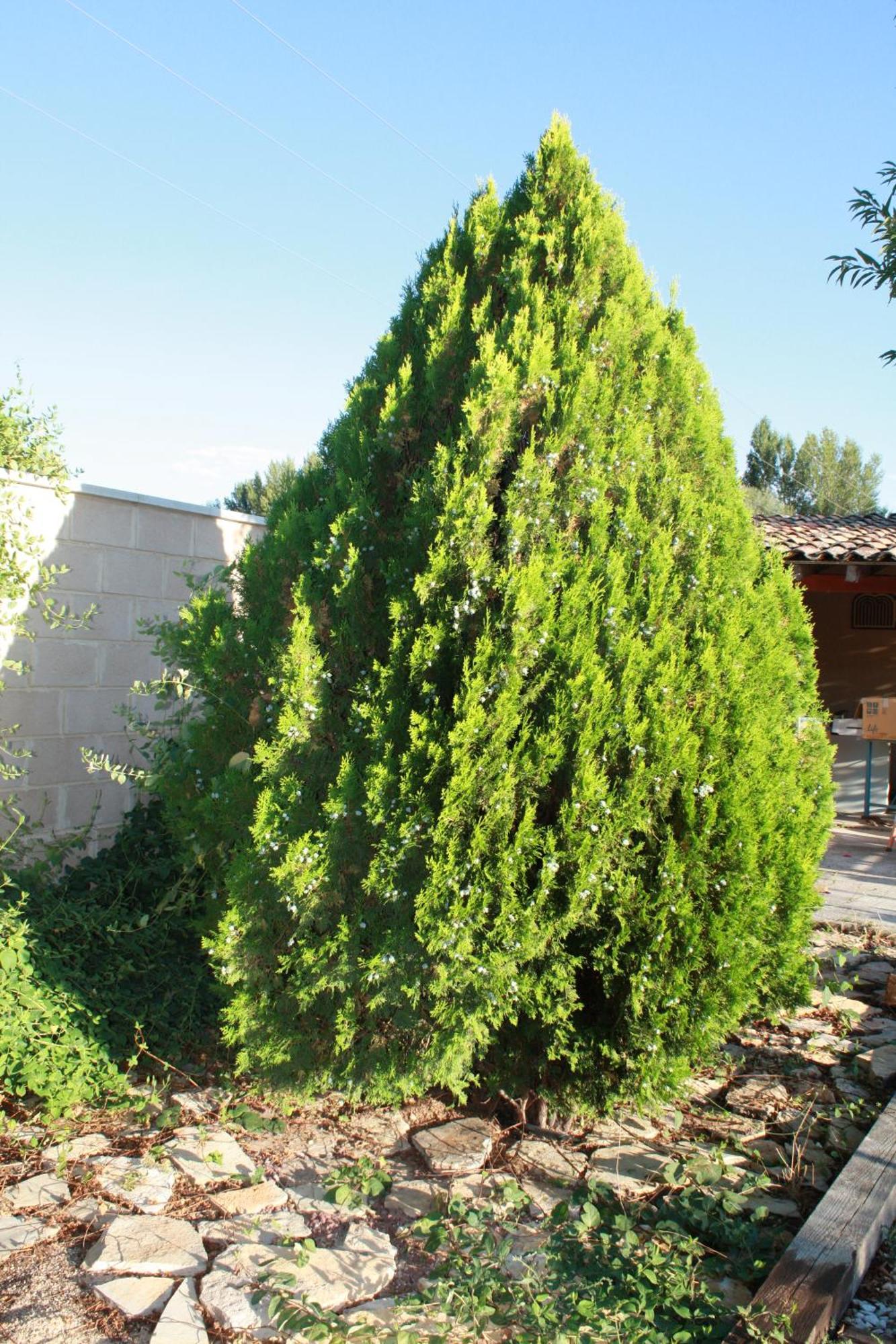 Loft La Buena Vida Apartment Penaranda de Duero Exterior foto